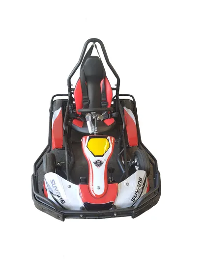 China Promotional Adults Kids Plus Pedal Go Cart ATV Electric Racing Suit Go Kart Mini Karting Hot Sale