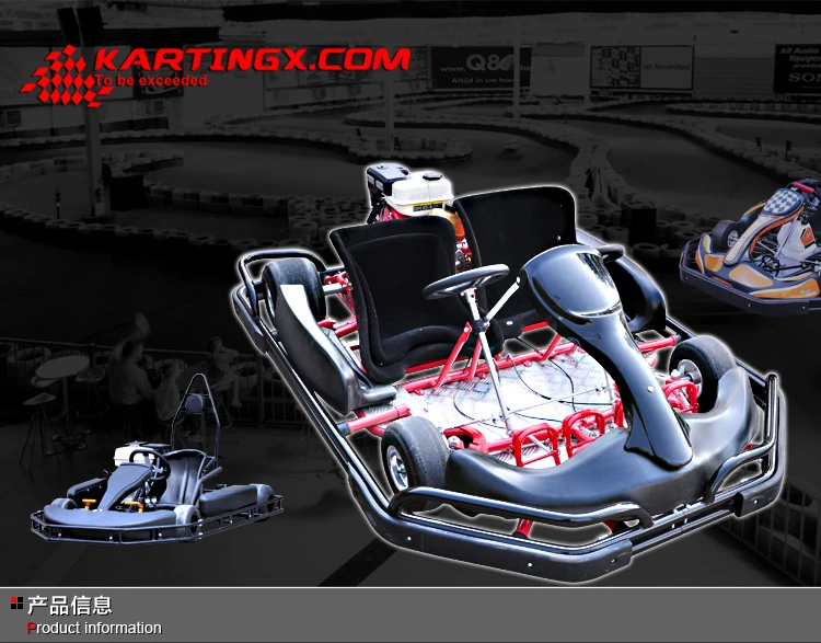 Cheap Hot Sale Adults Adult 1 Seat Pedal Go Kart Karting Zhejiang Passion Import Racing Go Ka