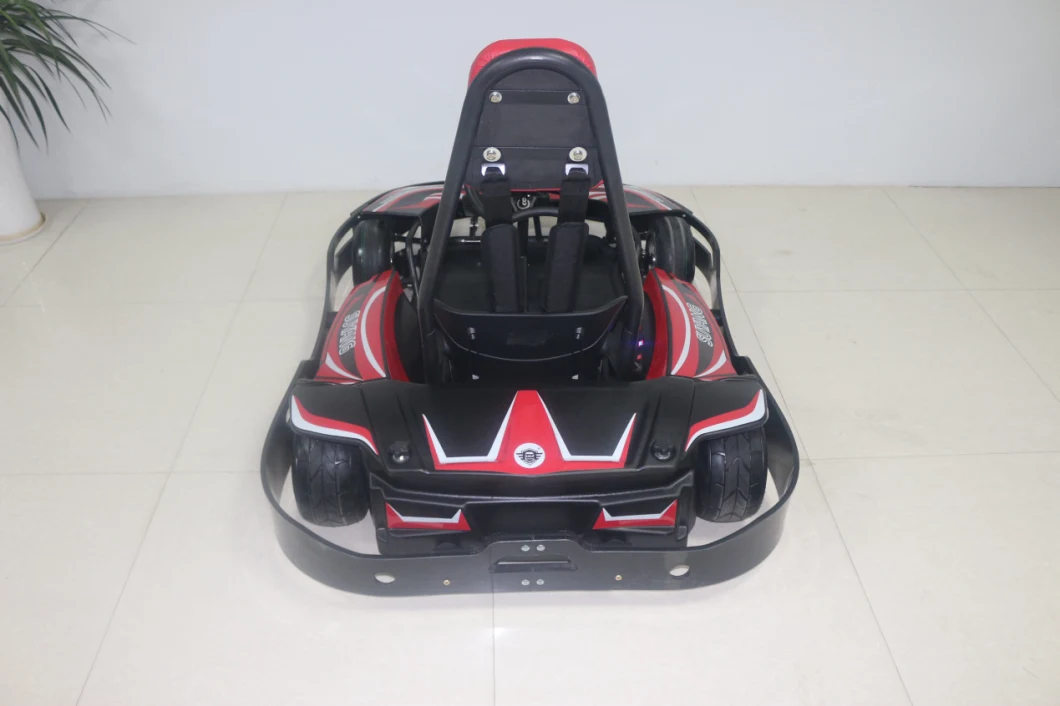 Suyang New Design Pedal Go Karting Family Go Karts with 2 Seat Hot Sale