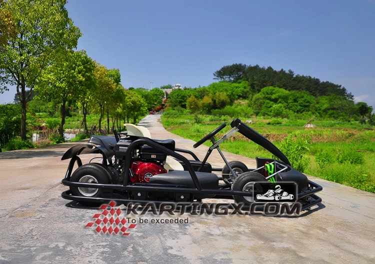 Cheap Hot Sale Adults Adult 1 Seat Pedal Go Kart Karting Zhejiang Passion Import Racing Go Ka