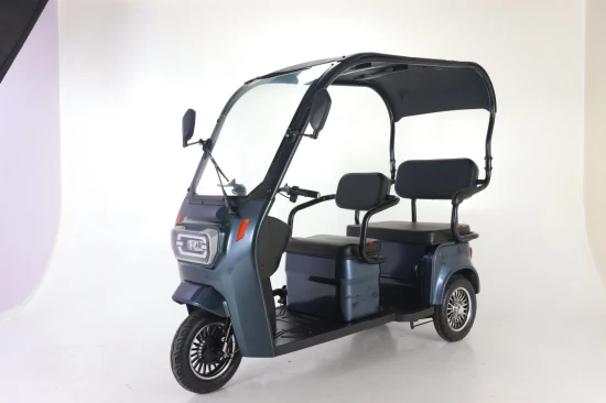 Triciclo elétrico de carga motorizado elétrico de três rodas para adultos
