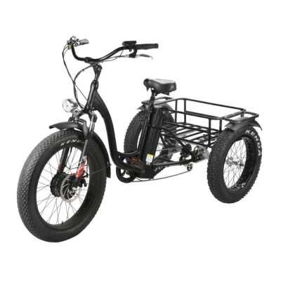 Lazer Zappy 4 Rodas Elétrico Triciclo Usado Fabricante Passageiro Crianças